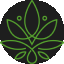 favicon-momentum-conglomerate